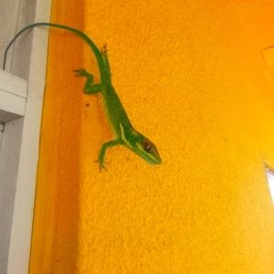 Meet your Posher, Brent